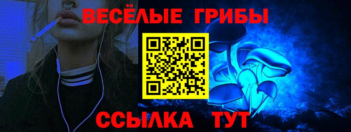 Верхняя Пышма  Галлюциногенные грибы прущие грибы  Вход с VPN  Галлюциногенные грибы ЛСД 