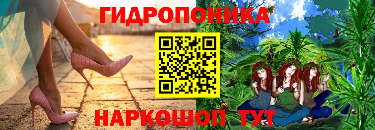 Конопля планчик  Бошки марихуана Amnesia  Вход с VPN  Бошки марихуана планчик  Верхняя Пышма  Марихуана Bruce Banner 